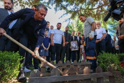 CHP'nin kedisi 'Şero' Genel Merkez bahçesine defnedildi