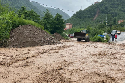 Trabzon'daki taşkın ve heyelanlar 208 milyon liralık zarara neden oldu