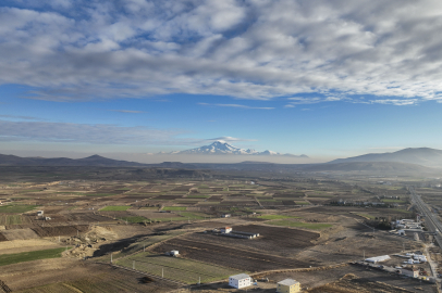 Erciyes eteklerinde manda sayısı artıyor