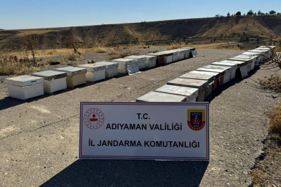 Adıyaman'da arı kovanlarını çalan şahıs yakalandı