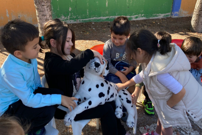 Anaokulu öğrencileri veteriner uygulamaları dersi aldı