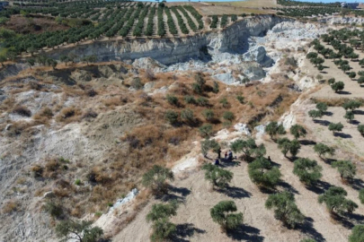 Hatay'da depremin ikiye ayırdığı bahçede hasat