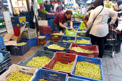 Bursa Tuz Pazarı’nda kurmalık zeytin satışı başladı