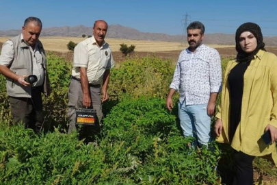 Elazığ'da avcıların kullandığı bıldırcın sesi çıkaran cihaz ele geçirildi