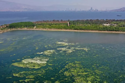 İzmir Körfezi için harekete geçildi! İşte 14 maddelik eylem planı