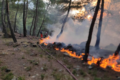 Hatay Yayladağı’nda örtü yangını