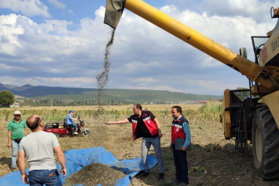 Simav’da yağlık ayçiçeği hasadına başlandı