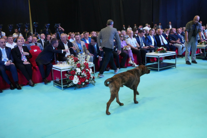 Fuar alanına girip dron kovalayan köpek gülümsetti