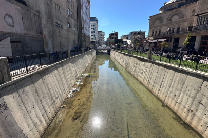 Büyükçay Deresi'nde balık popülasyonu arttı