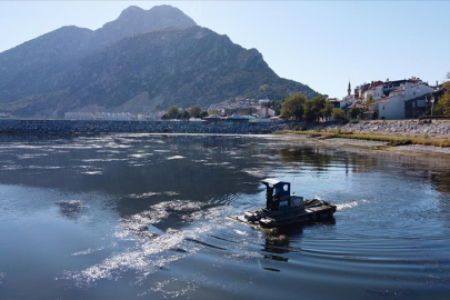 Eğirdir Gölü'nde ot ve yosun temizliğinin ay sonunda tamamlanması hedefleniyor