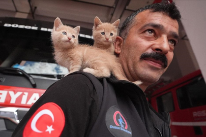 Kurtarma ihbarına gittiği kedi yavrularını sahiplendi