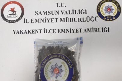 Samsun’da uyuşturucu operasyonları