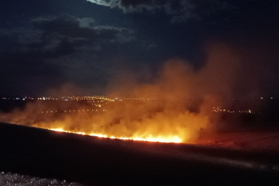 Siirt’te anız yangını