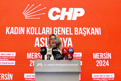 CHP'nin kadına yönelik şiddet ve sosyal politikalara ilişkin çalıştayı Mersin'de başladı