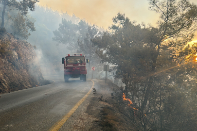 Muğla’yı orman yangınları esir aldı!