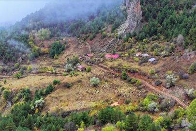 Zigana Dağı sonbahar renklerine büründü