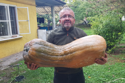 40 kilogramlık 110 santimetrelik kabak görenleri şaşırttı