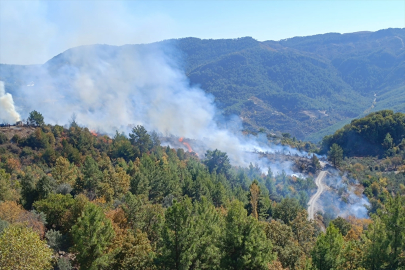 Alanya'da zirai alanda çıkan yangın kontrol altına alındı