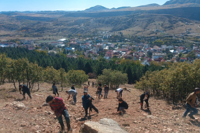 Tunceli’de bin meşe palamudu toprak ile buluşturuldu