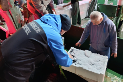 Çanakkale'de hamsi avcılığına sıkı denetim