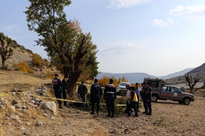  Ağaç budarken düşen yaşlı adam hayatını kaybetti