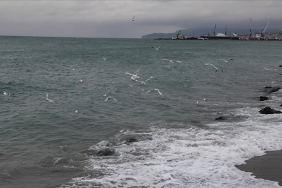 Tekirdağ'da deniz ulaşımına poyraz engeli