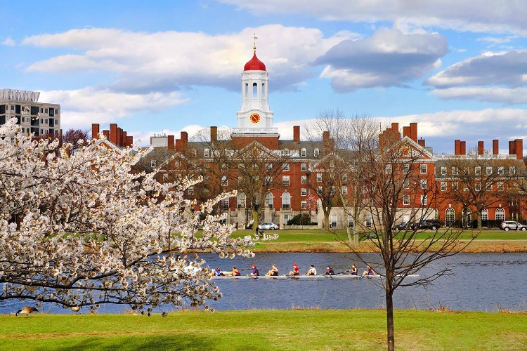 HARVARD UNIVERSITY