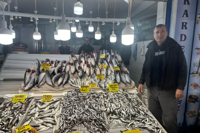 Balık tezgahlarında Hamsi, Çinekop ve Palamut bolluğu var