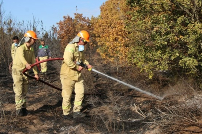 Kırklareli’nde orman yangını