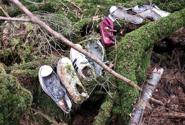 Aokigahara Ormanı, Japonya