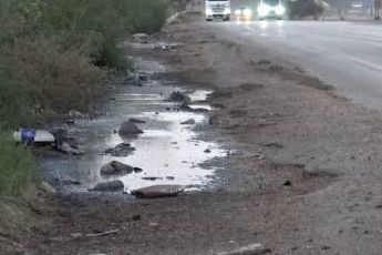 Araçtan tahıl döküldü, fareler yolu istila etti