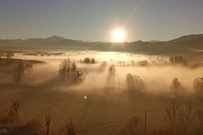 Tunceli’de 'sis' şöleni