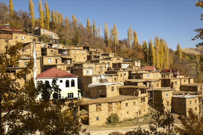 Sonbahar renklerine bürünen Bitlis'in köyleri fotoğrafçıları ağırladı