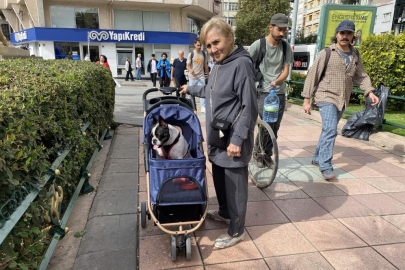 17 kiloluk köpeğini bir bebek gibi dolaştırıyor