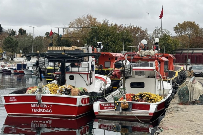 Tekirdağlı balıkçılar hamsi ve istavrit umuduyla Karadeniz'e gidecek