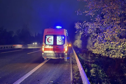 Sakarya'da otomobil şarampole yuvarlandı: 2 kişi yaralandı