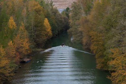 Anadolu Sığla Ormanı adeta yağlı boya tablosunu andırıyor