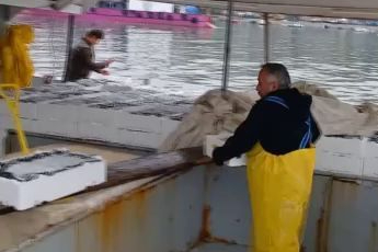 Liman, balıkçı tekneleriyle doldu