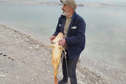 Elazığ'da bir balıkçı 21 kiloluk sazan avladı