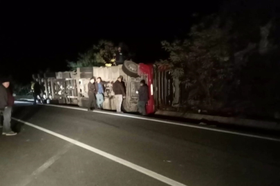 Ordu’nun talaş yüklü tır devrildi: Şoför yaşamını yitirdi