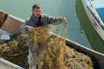 Suları çekilen gölden balıkçılar balık yerine yosun çekmeye başladı