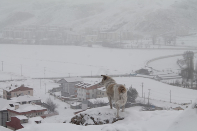 Meteoroloji'den Bayburt için kar yağışı uyarısı