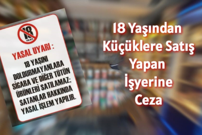 Yasa dışı alkol satışına denetim