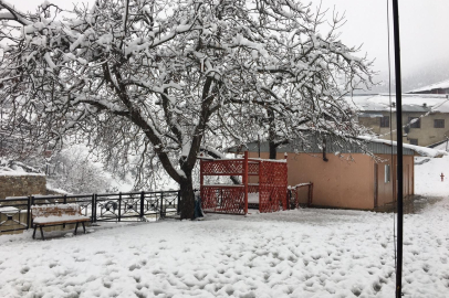 Adana Feke beyaza büründü