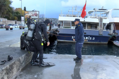 Denize düşen kız arkadaşının peşinden atladı