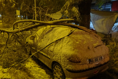 Malatya'da kardan kırılan ağaç dalları araçların üzerine devrildi