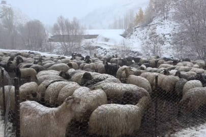 Muş'ta kar yağışı etkili oldu