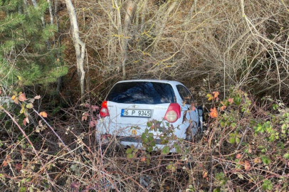 Ormanlık alana uçan Bursa plakalı otomobilin sürücüsü yaralandı