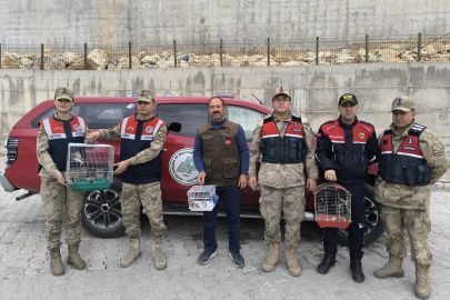 Şanlıurfa'da ele geçirilen 20 saka kuşu doğaya salındı