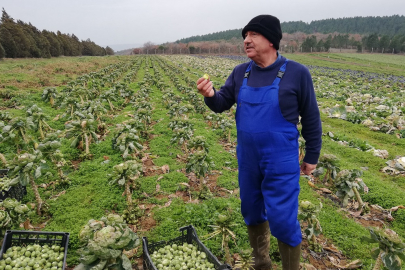 Türk uzmanlar Kazakistan’da sağlık personeline pestisit zehirlenmesinde müdahale eğitimi verdi